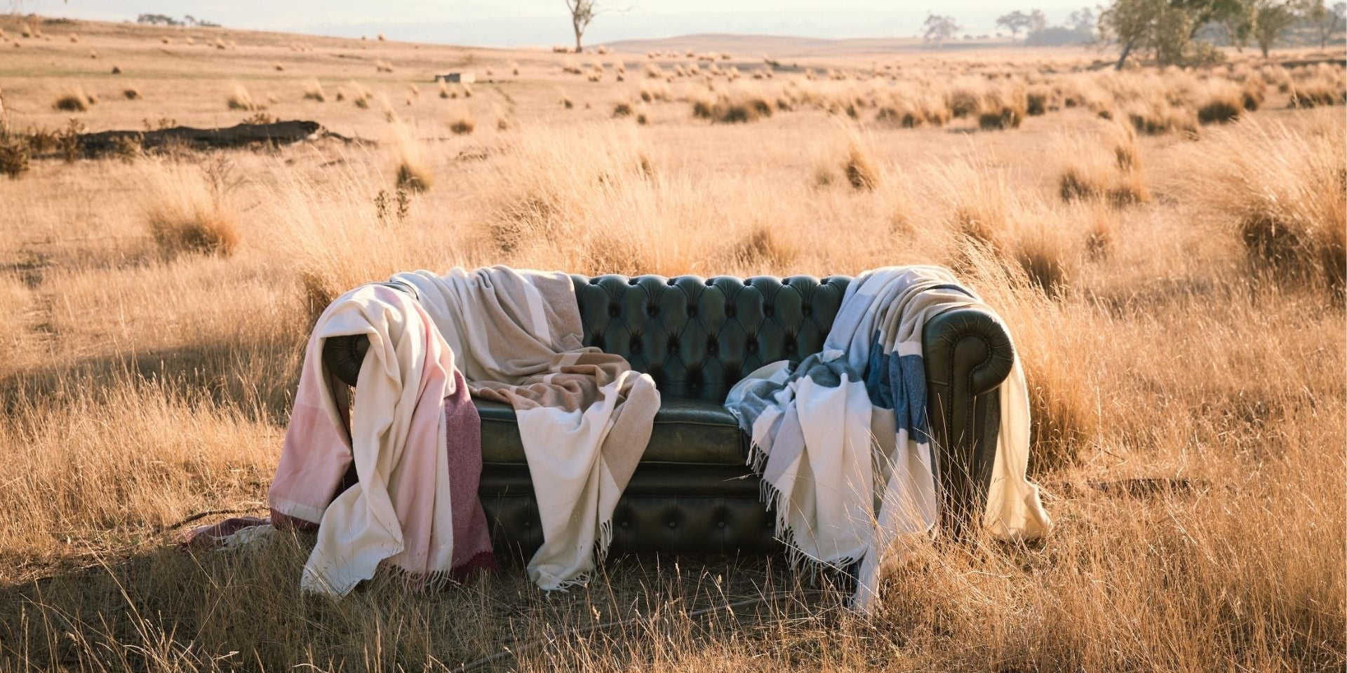 What is Merino Wool & What Makes it So Special