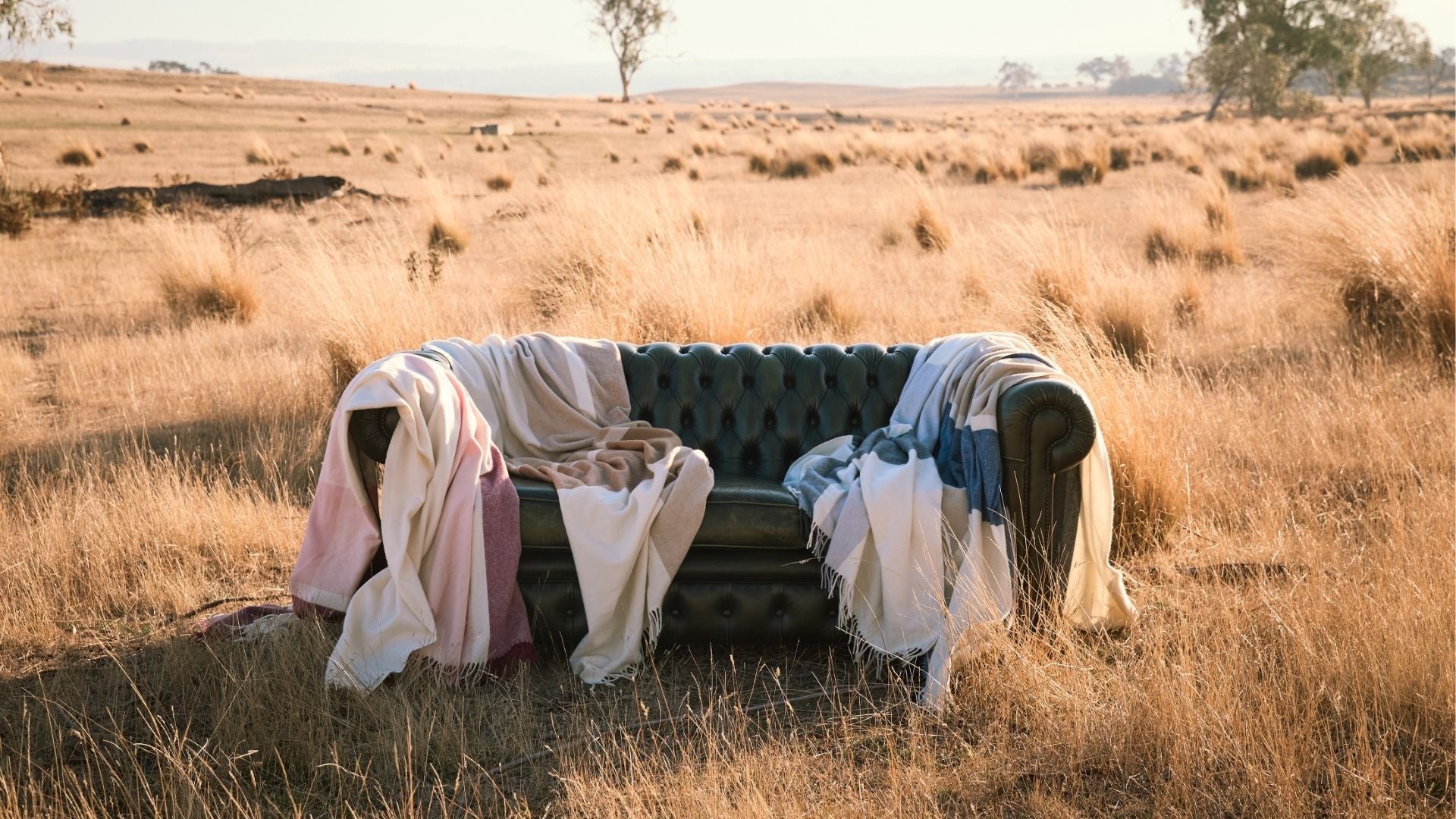 What is Merino Wool & What Makes it So Special