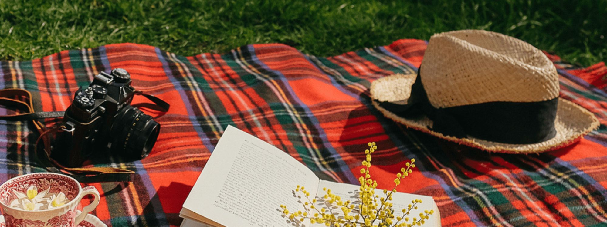 How to Choose the Best Picnic Blanket