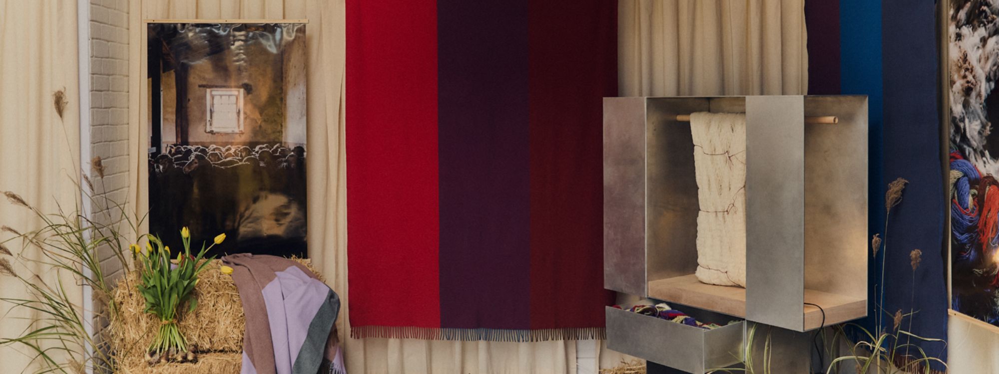 Fiona Lynch x Waverley Mills — Desert Field Returns for Winter