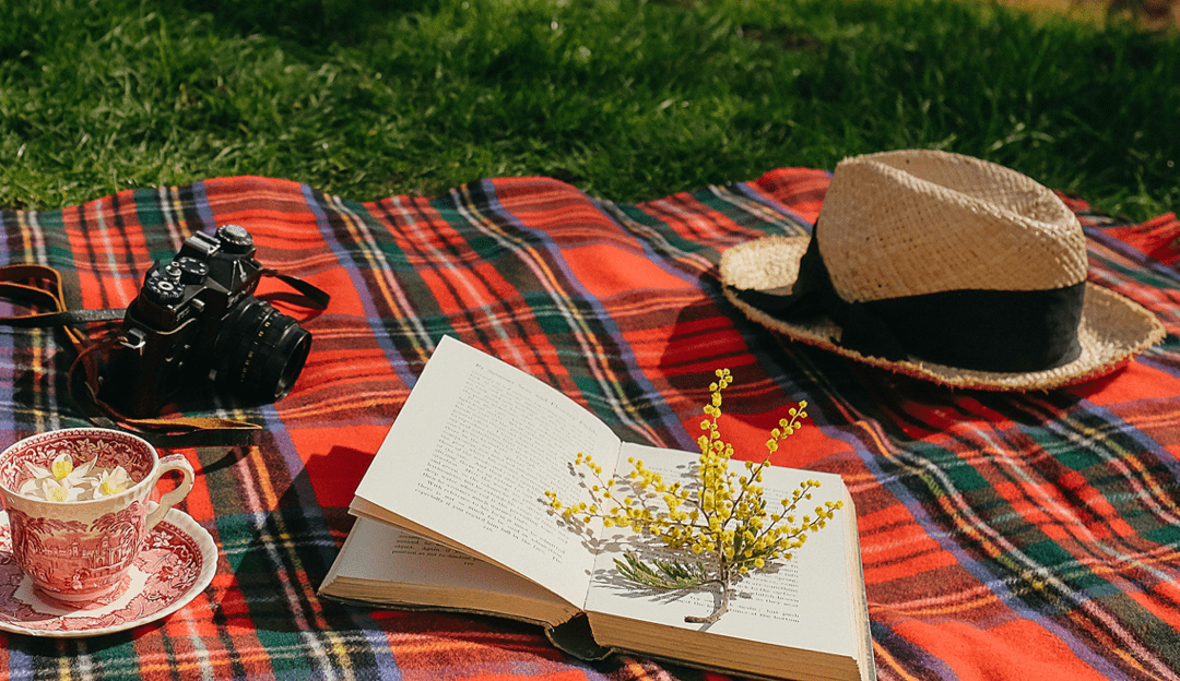Luxury Picnic Blankets & Rugs