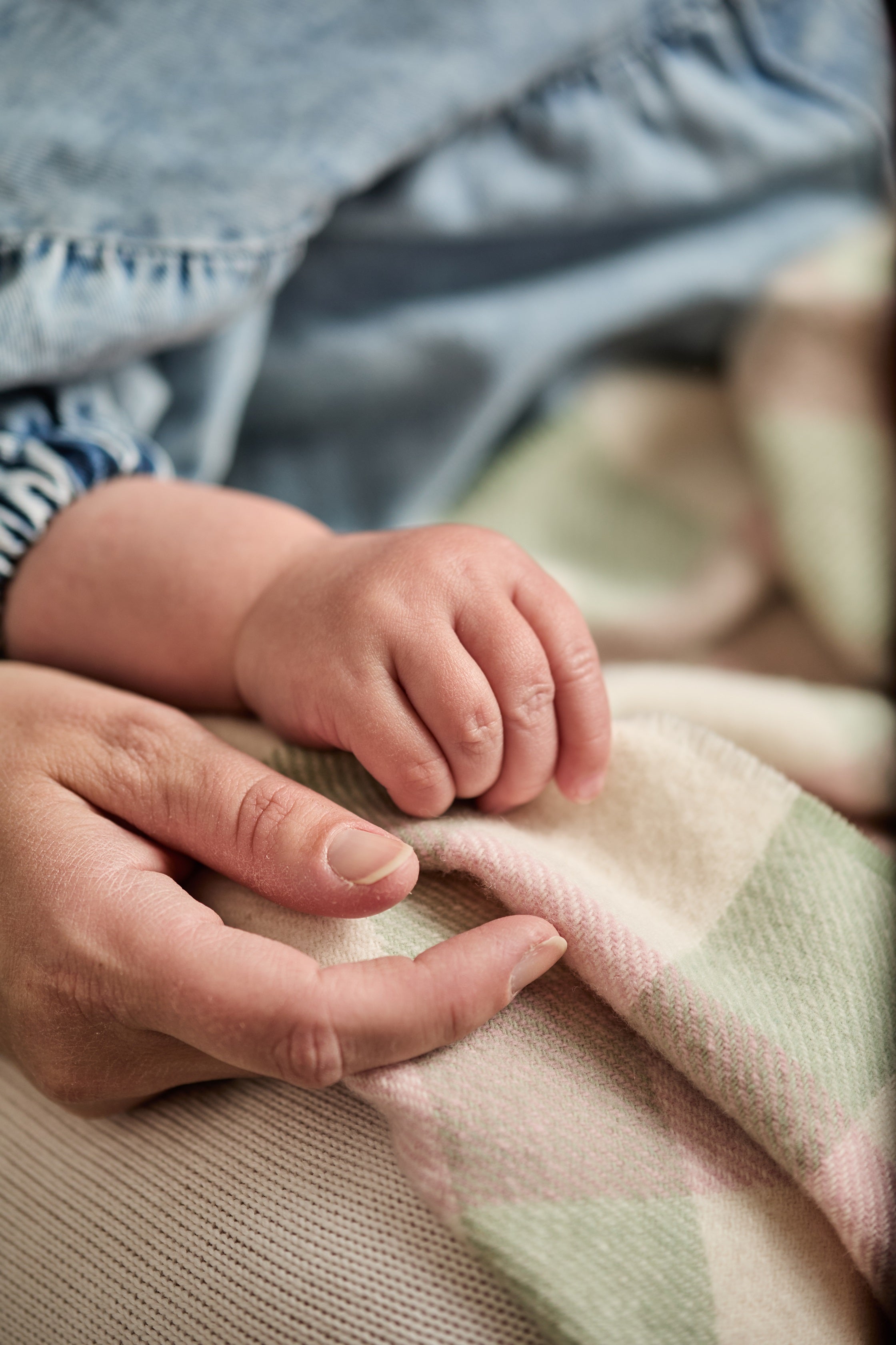 Why Australian Merino Wool feels so different