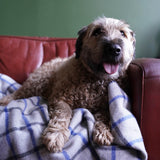 Recycled Grid Pet Blanket Blue