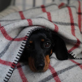 Recycled Grid Pet Blanket Red