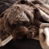 Tasman Tartan Pet Blanket in Maria Tan