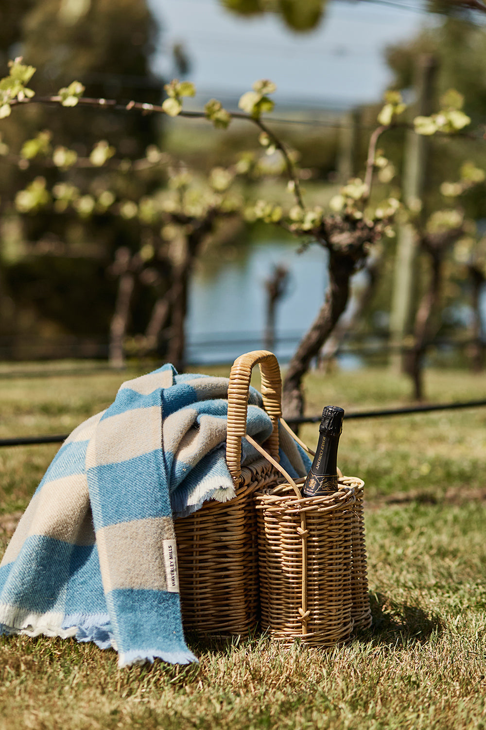 Picnic & Travel Rugs – Waverley Mills